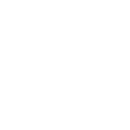Animals Icon