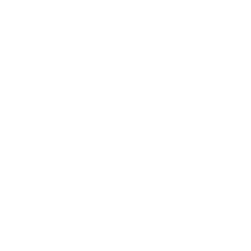 Players Icon