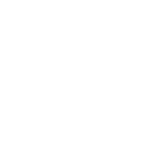 Special Icon