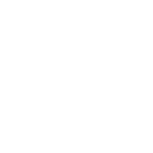 Stone Icon